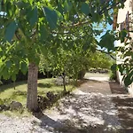 Il Passero *