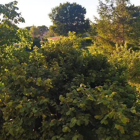 Il Passero Appartamento