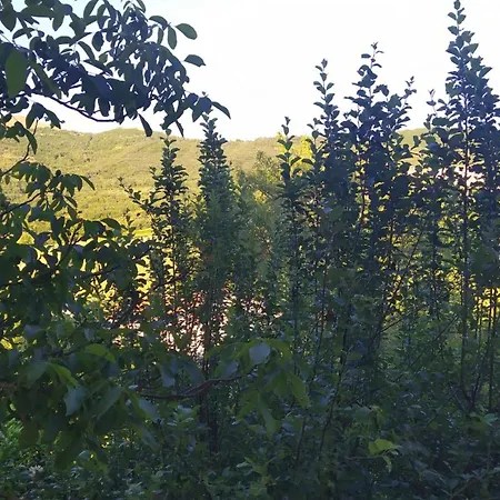 Apartament Il Passero Costa (Umbria)