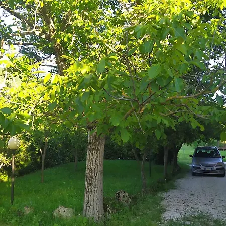 Il Passero Apartament *