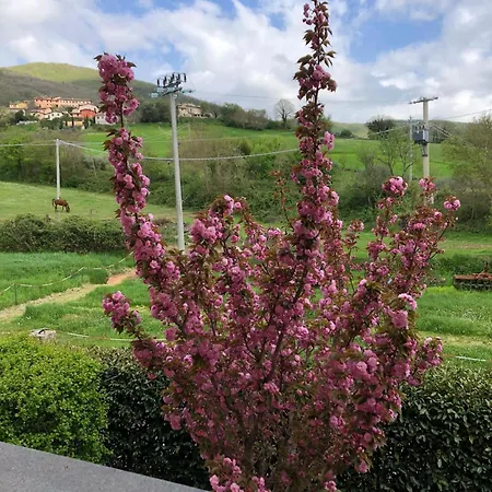 Il Passero Costa (Umbria)