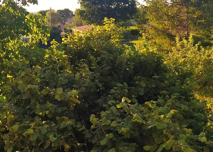 Il Passero Apartment