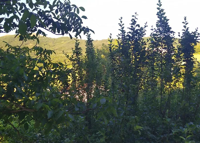 Apartament Il Passero Costa (Umbria)