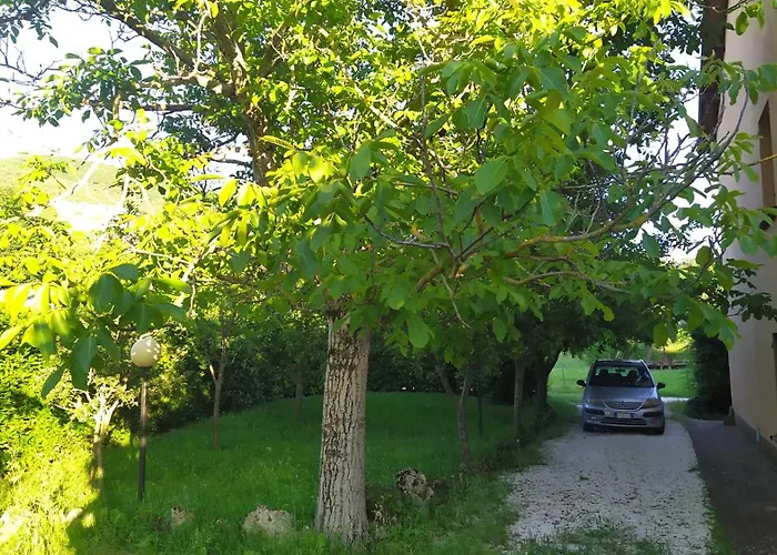 Il Passero Apartment *