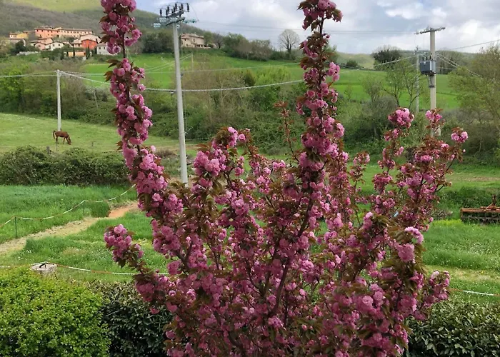Il Passero Costa (Umbria)